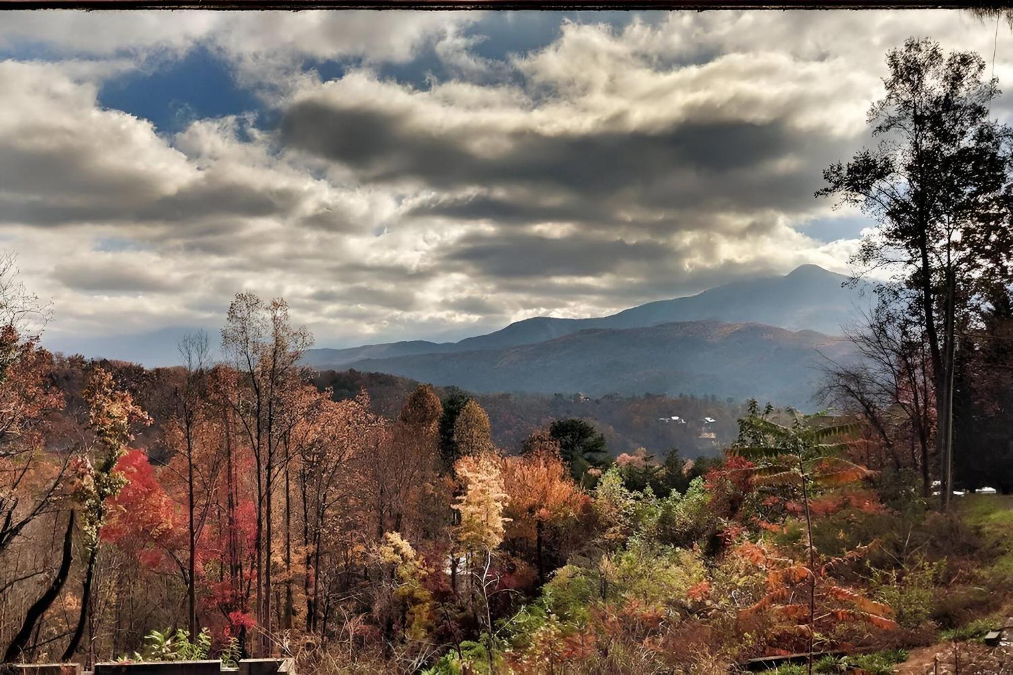 Prime Mountain Cabin - Near Galinburg Downtown Gatlinburg Ngoại thất bức ảnh